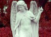 Interpreting-Prophetic-Dreams