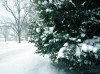 Evergreen-Reminders