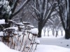 Seasonal-Symbolism