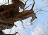 What-is-Symbolism