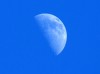 Meaningful-Moonlight