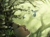 Mirror-of-the-Soul