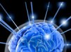 The-Subject-of-A-Collective-Consciousness