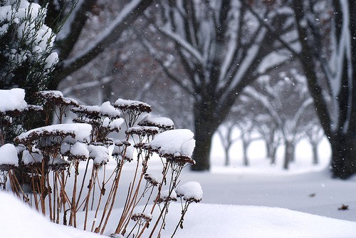 Seasonal Symbolism. Photo by Avia Venefica
